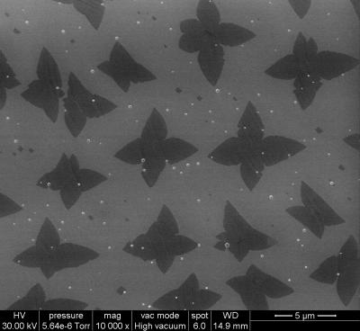scanning electron microscope image of graphene seeds on copper foil
